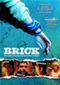 Brick DVD Video