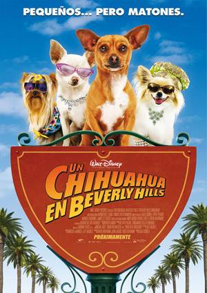 poster de Un chihuahua en Beverly Hills