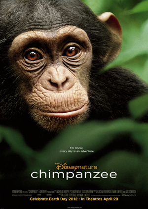 poster de Chimpanzee