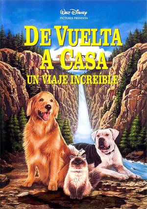 poster de De vuelta a casa: Un viaje increble