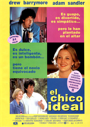 poster de El chico ideal