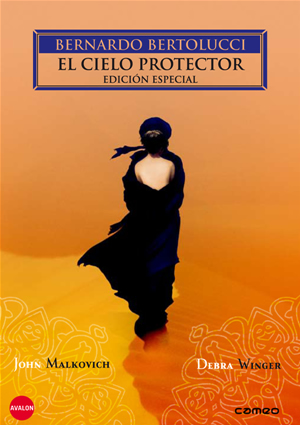 poster de El cielo protector