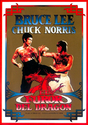 poster de El furor del dragn