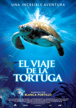 poster de El viaje de la tortuga