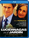 Luciernagas en el jardn Blu-Ray