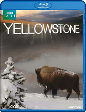 carátula frontal de Yellowstone (BBC Earth)