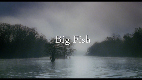 bigfish-bd-ss-1s.jpg